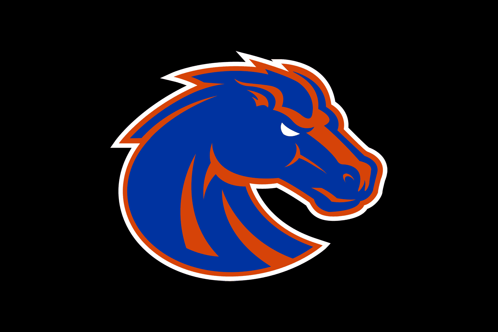 Boise State Broncos