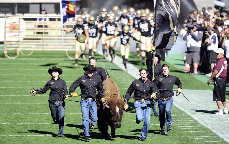 Colorado Buffaloes