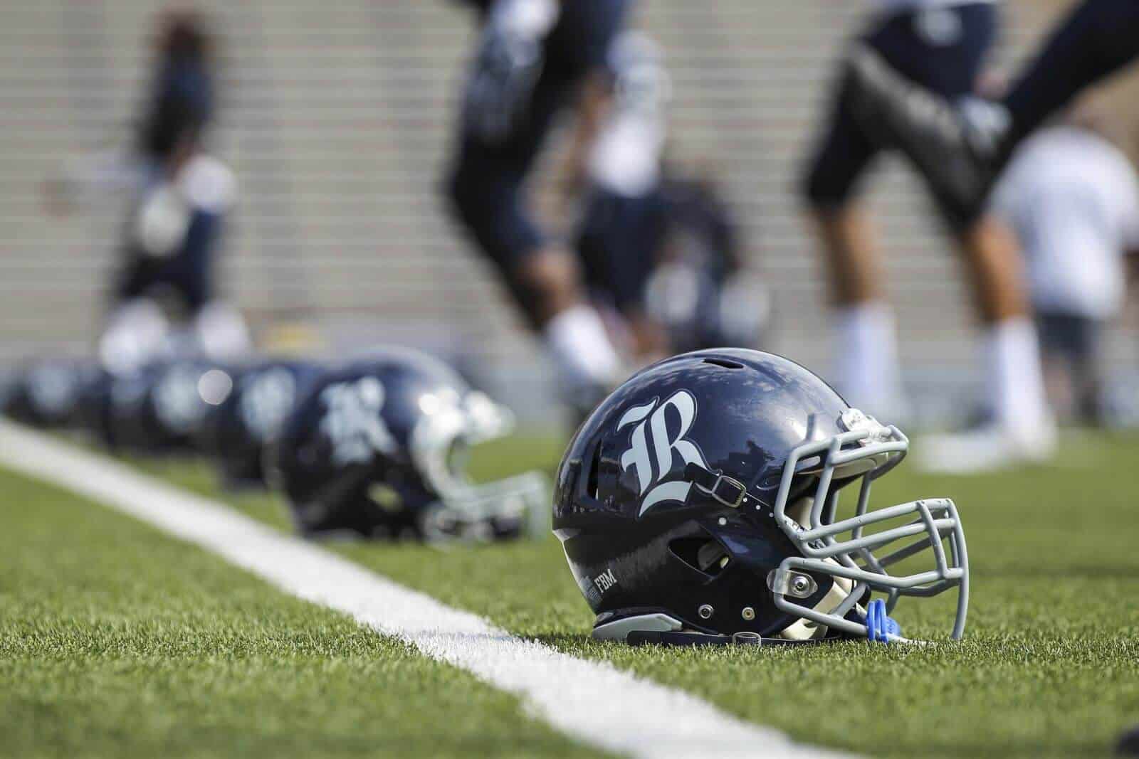 Rice Owls