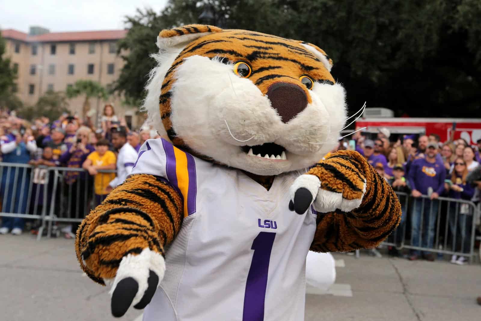 LSU Tigers