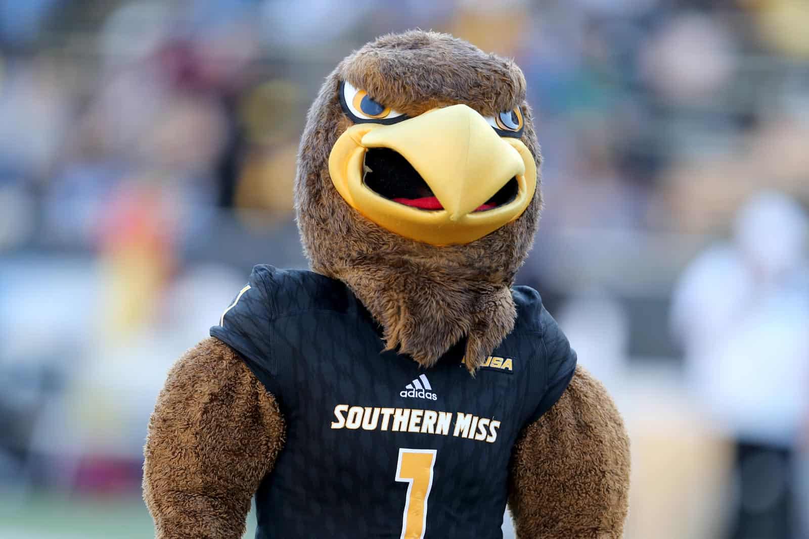 Southern Miss Golden Eagles