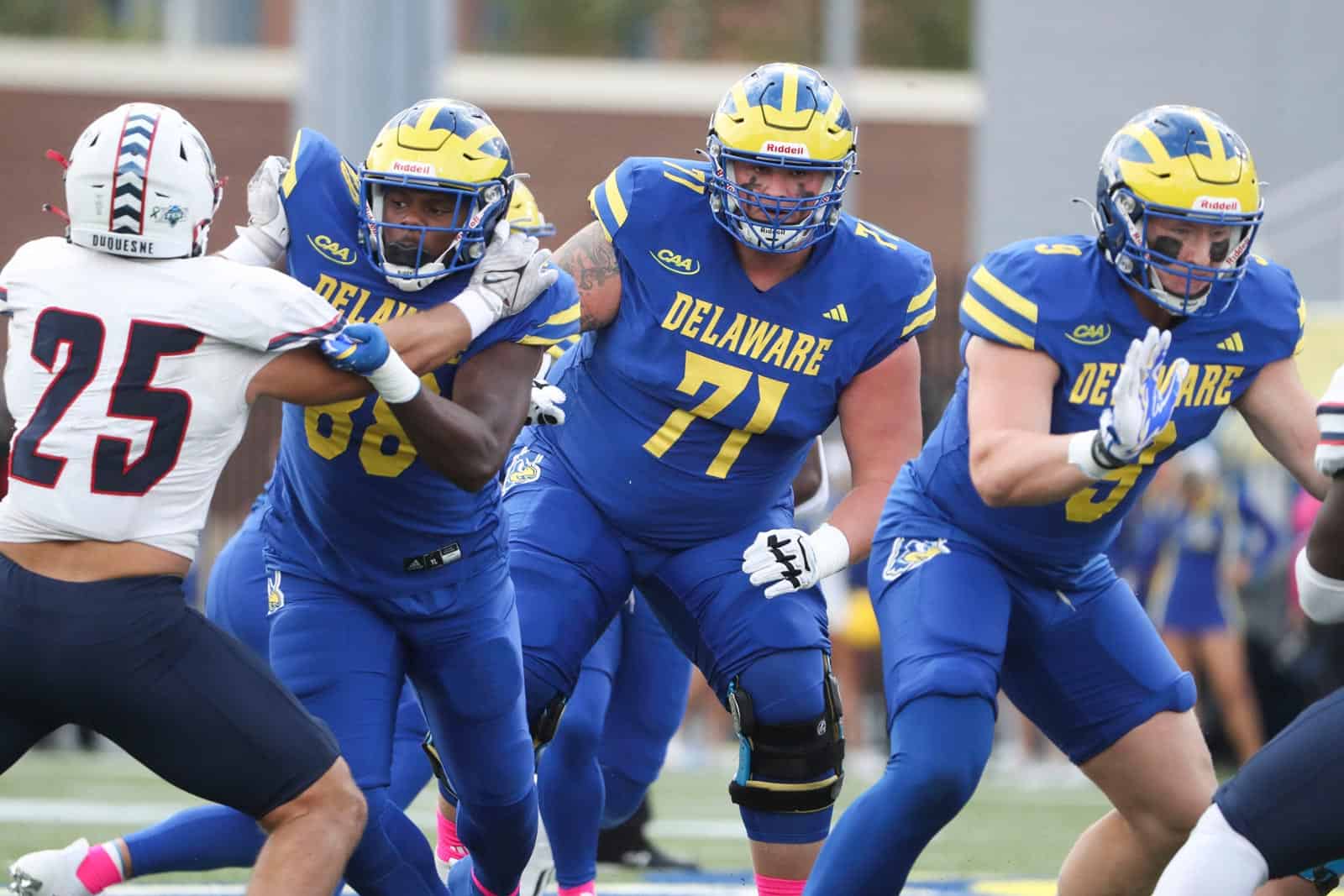 Delaware Blue Hens