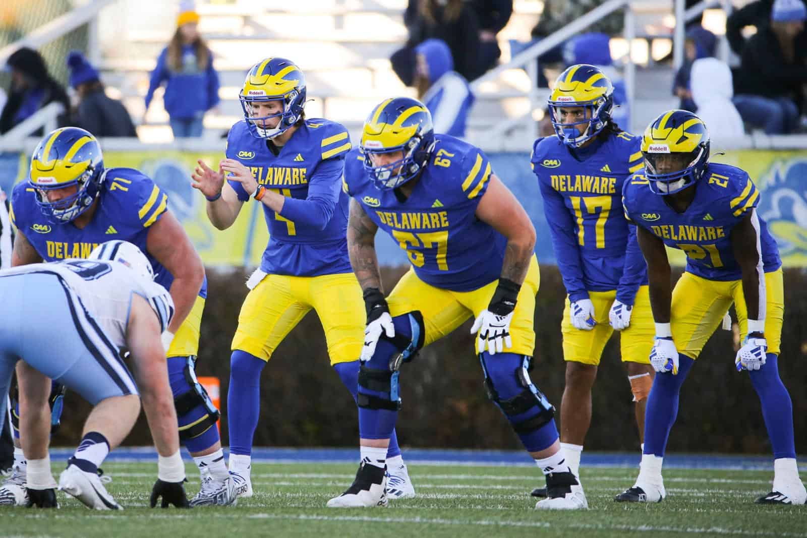 Delaware Blue Hens