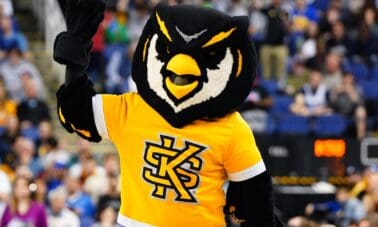 Kennesaw State Owls